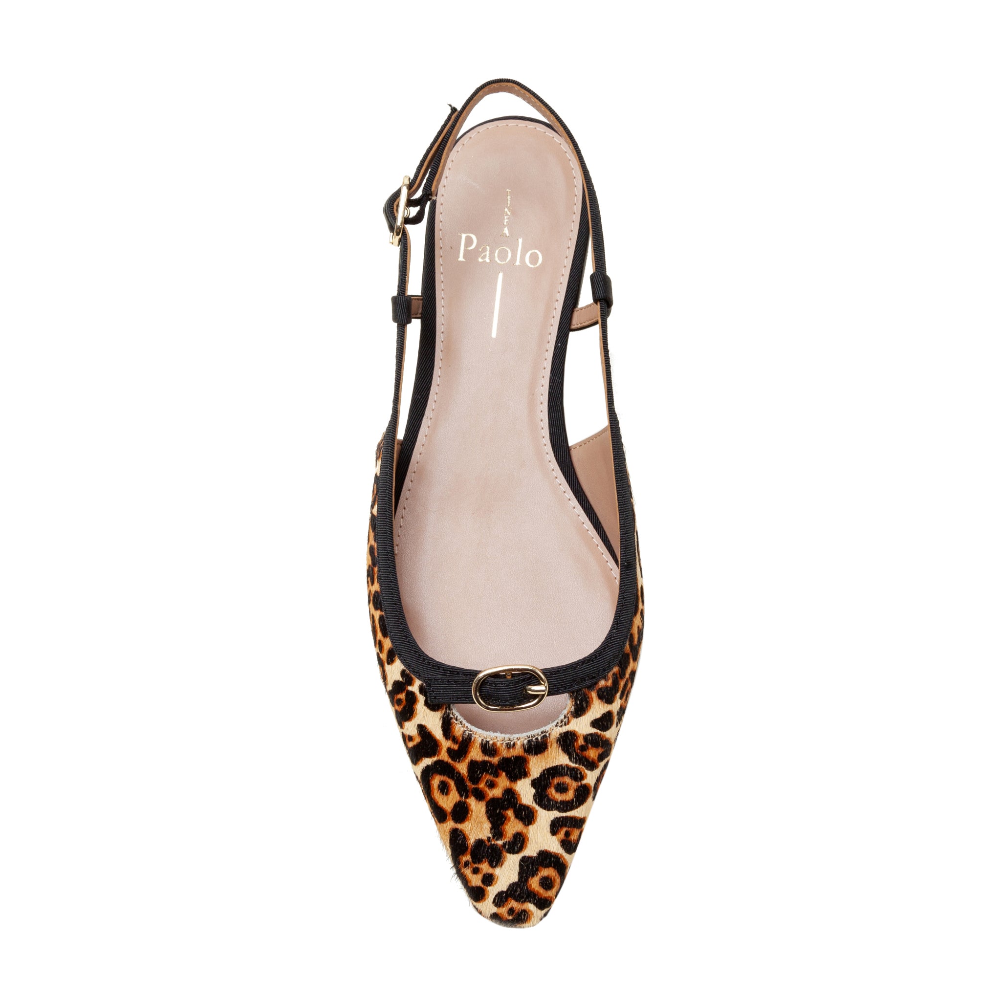 CASSIDY | Posted Slingback Flats – LINEA Paolo Shoes