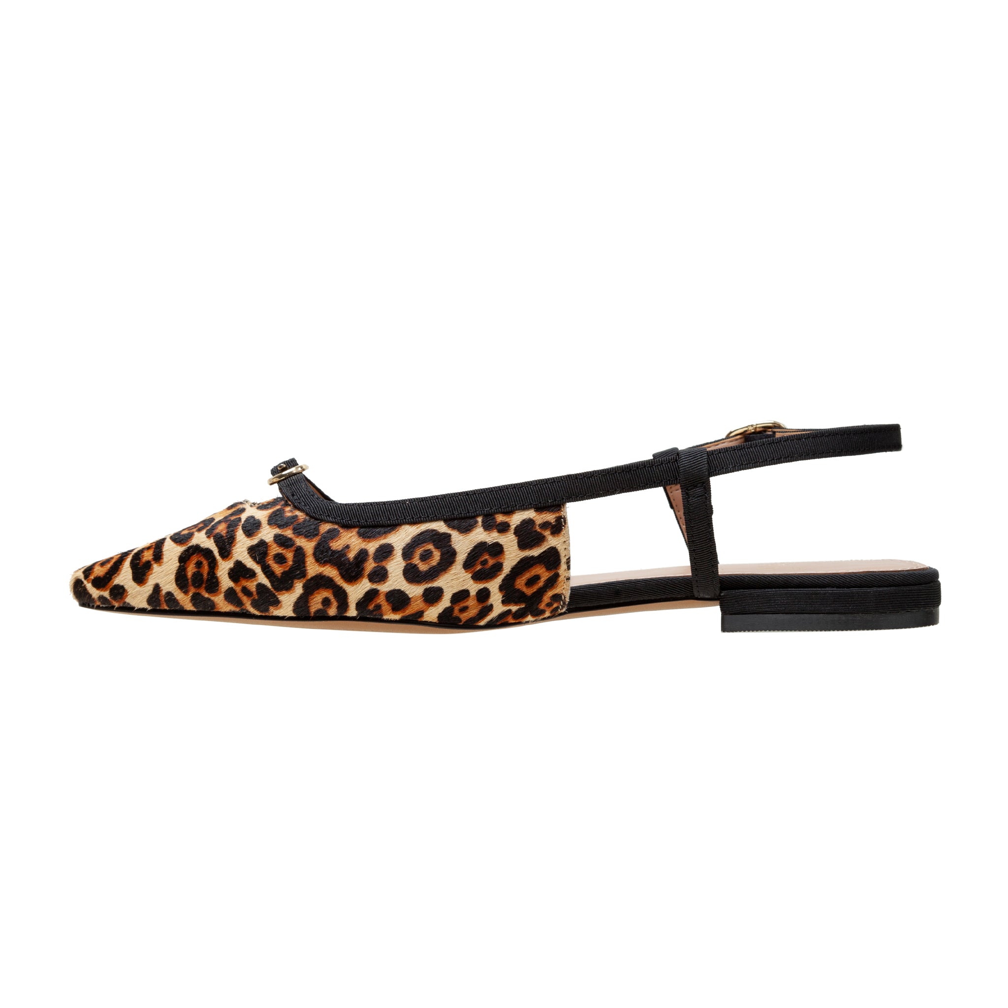 CASSIDY | Posted Slingback Flats – LINEA Paolo Shoes